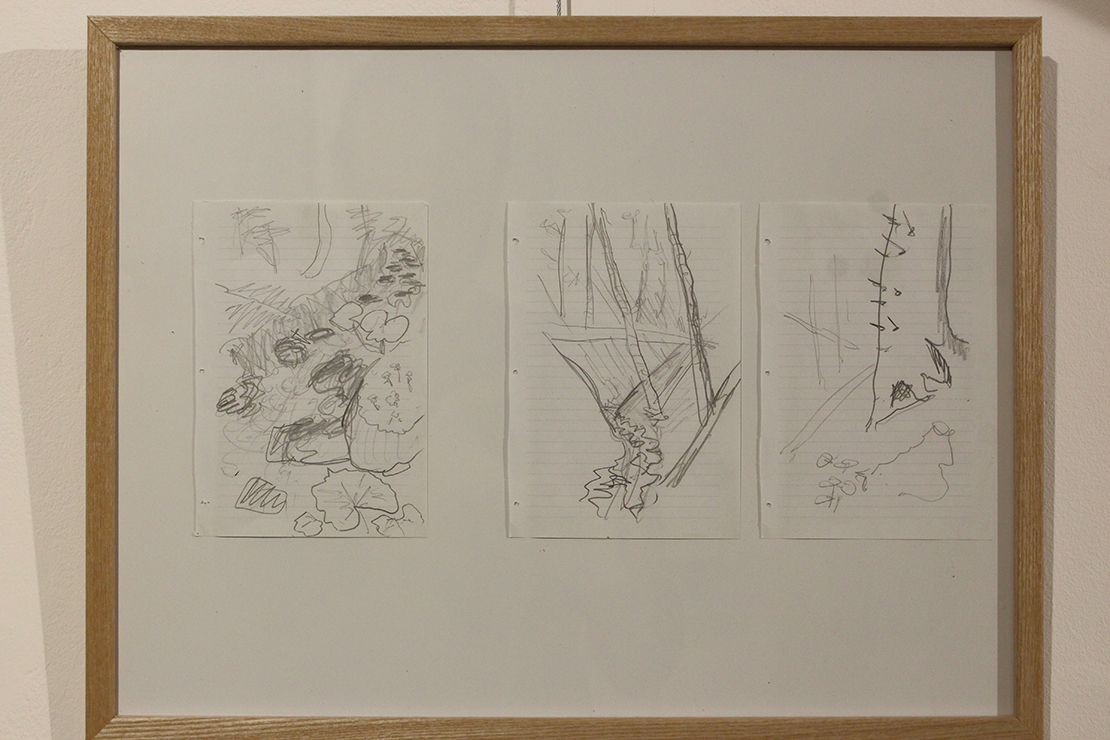 Pencil drawings of the forest stream.